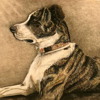 El retrato de tu mascota